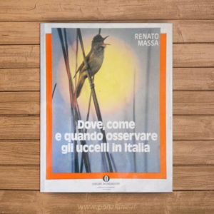 Dove, come e quando osservare gli uccelli in Italia