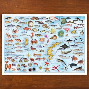 La Vita nel Mare II